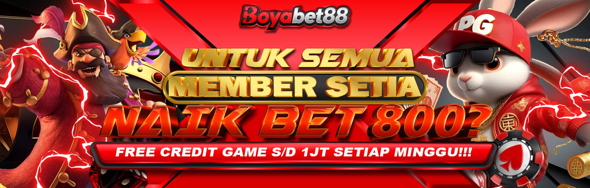 NAIK BET 800